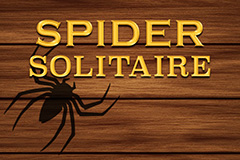 Solitario Spider